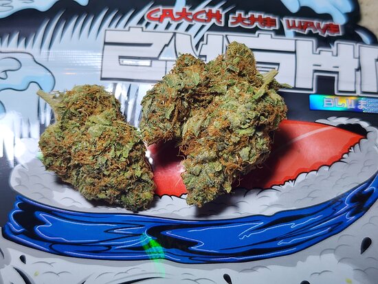 Feminized Blue Zushi Buds Flowers Astronomischer THC-Gehalt von über 30% für ein kompromissloses Erlebnis