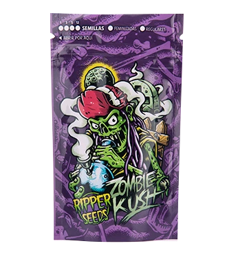 zombie kush_hanfsteckling_kaufen_online wien zombie kush seeds