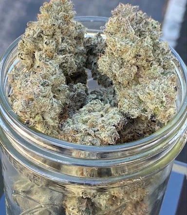 hanfstecklinge_kaufen_online Cali Cut_BanOreoZ flower (Extrem potent / Absolute Premium-Stärke für das High-End-Segment)