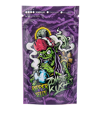zombie kush seeds Cannabis Stecklinge Zombie Kush – Ripper Seeds